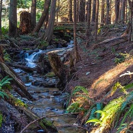 Forest Haven Hideaway Roberts Creek Extérieur photo
