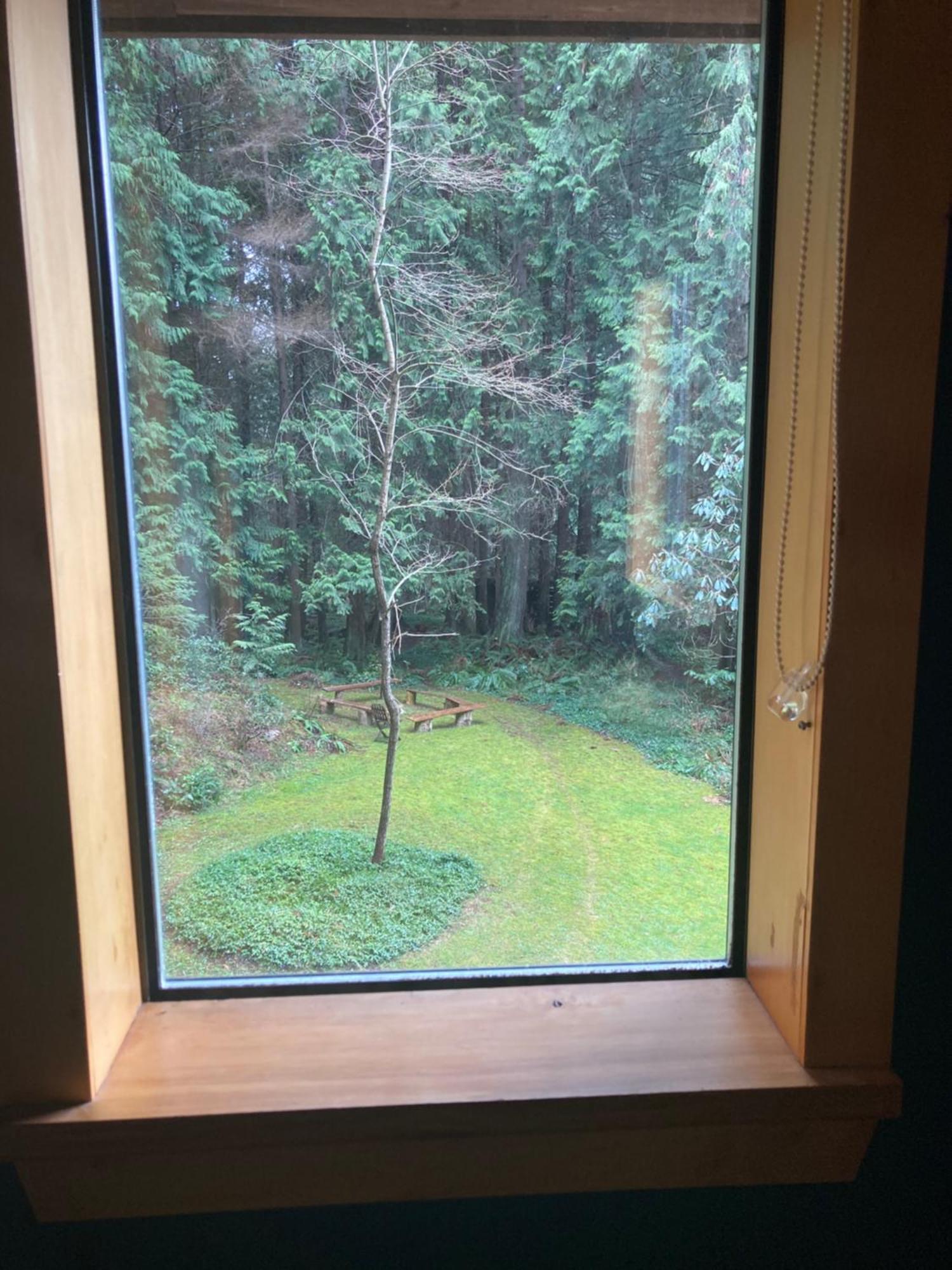 Forest Haven Hideaway Roberts Creek Extérieur photo
